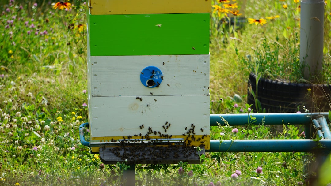 SOL Pest Incinerator device